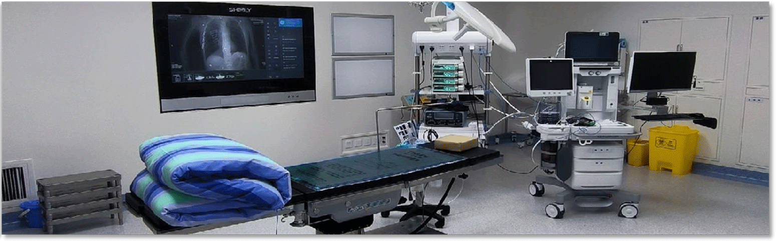 智慧手术室全景